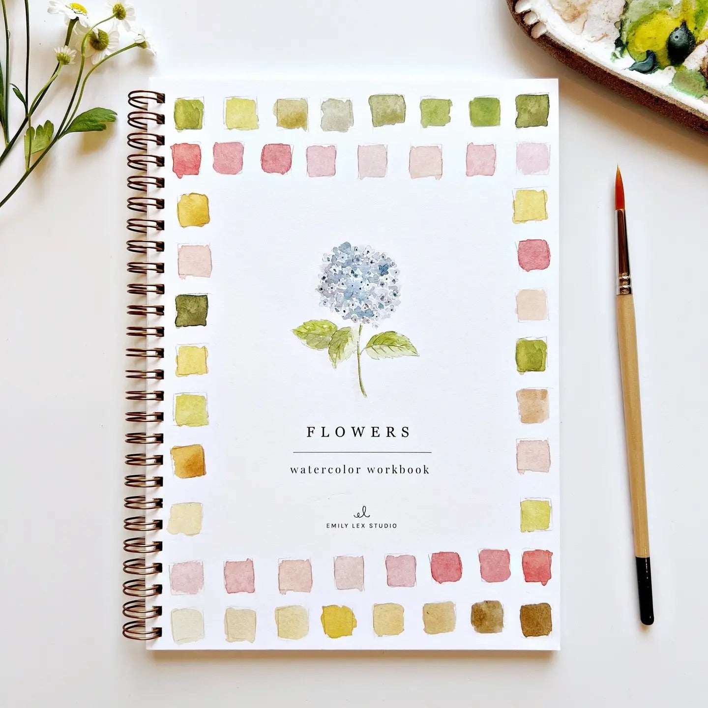 Watercolor Workbook