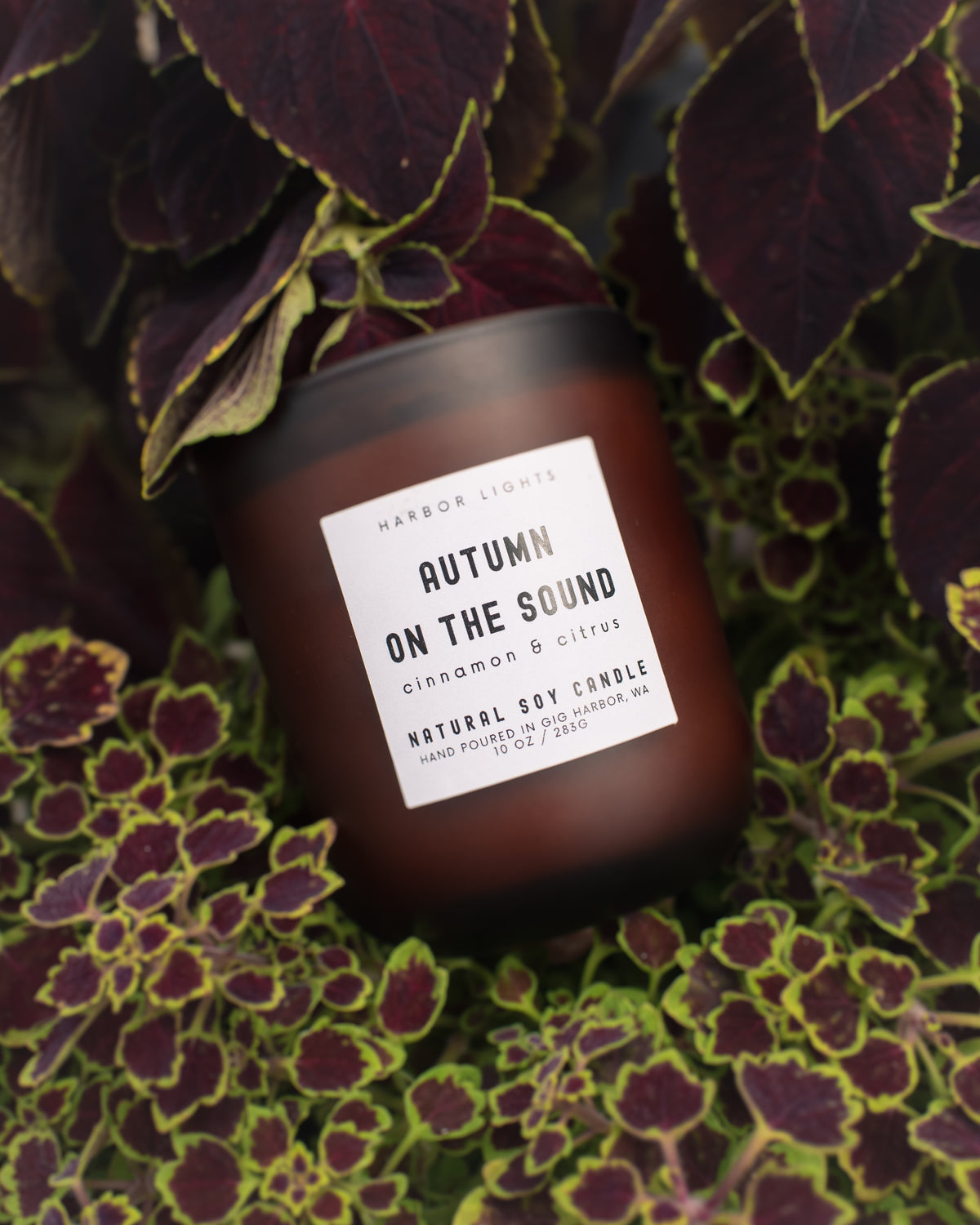 Autumn on the Sound Scented Candle