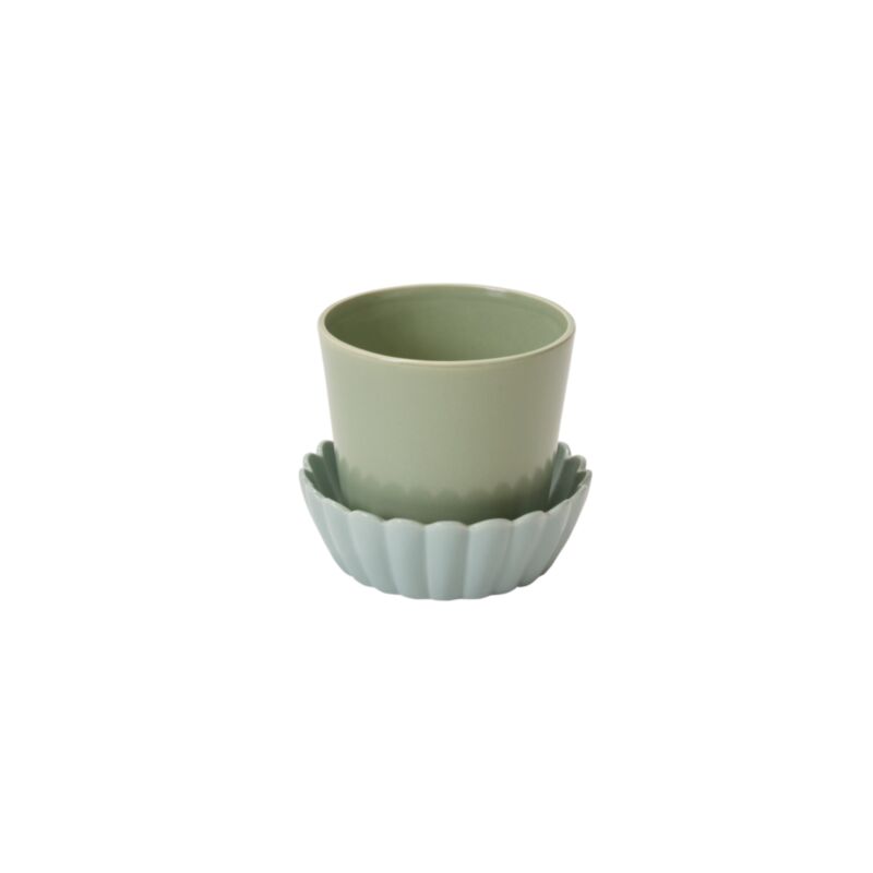 Springvale Pot