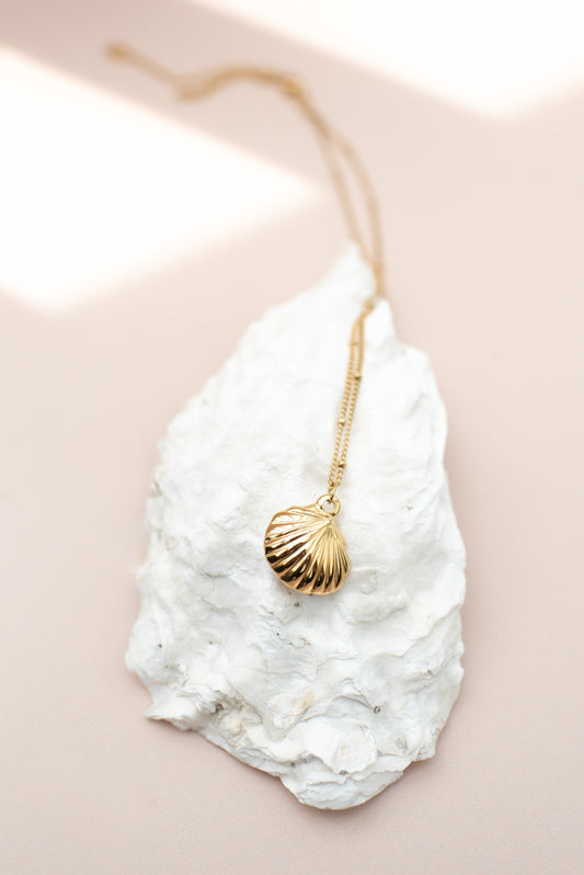 Golden Shell Necklace