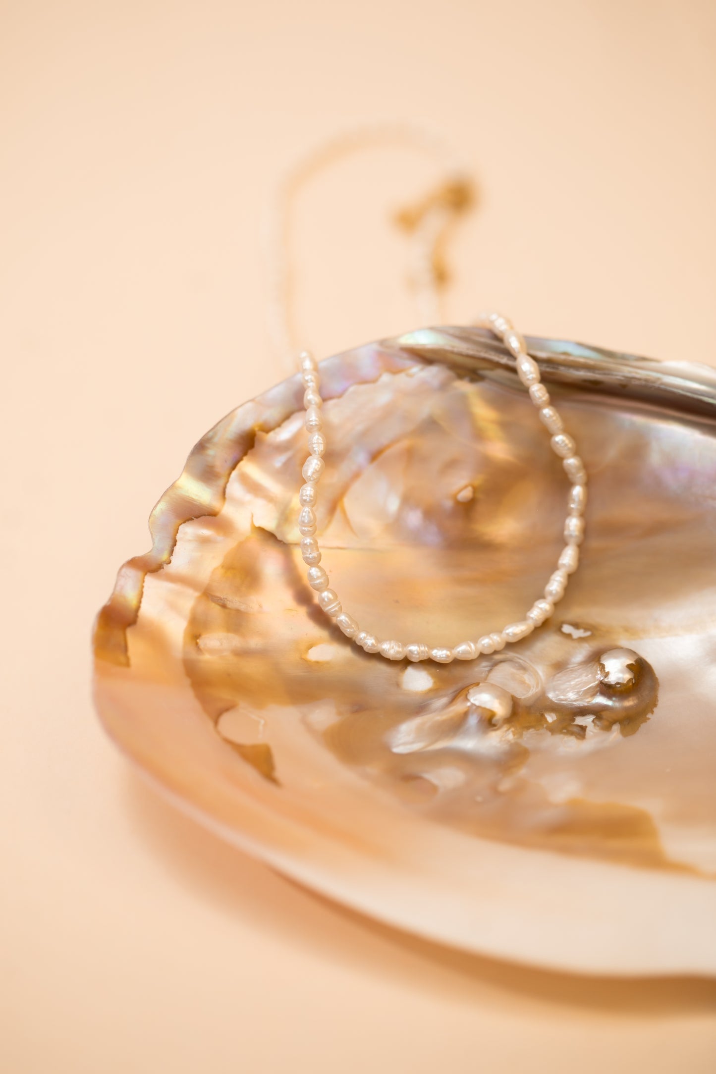 Freshwater Pearl Choker Necklace