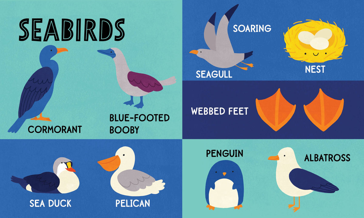 My First 100 Ocean Words Padded Board Book