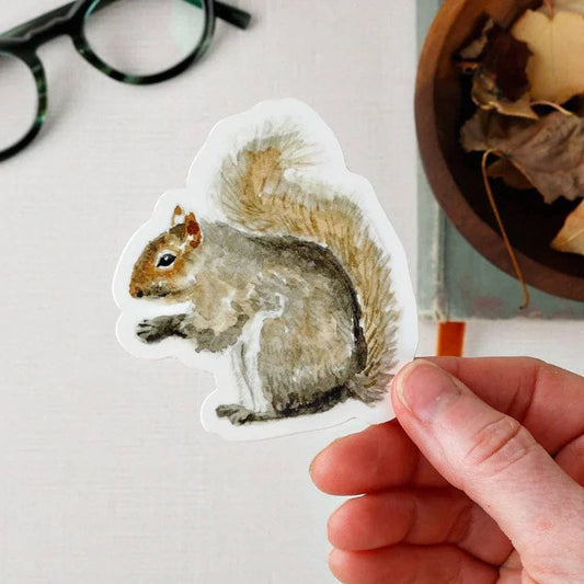 Squirrel sticker