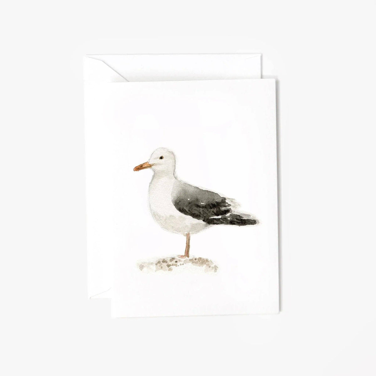 Seagull mini enclosure notecard
