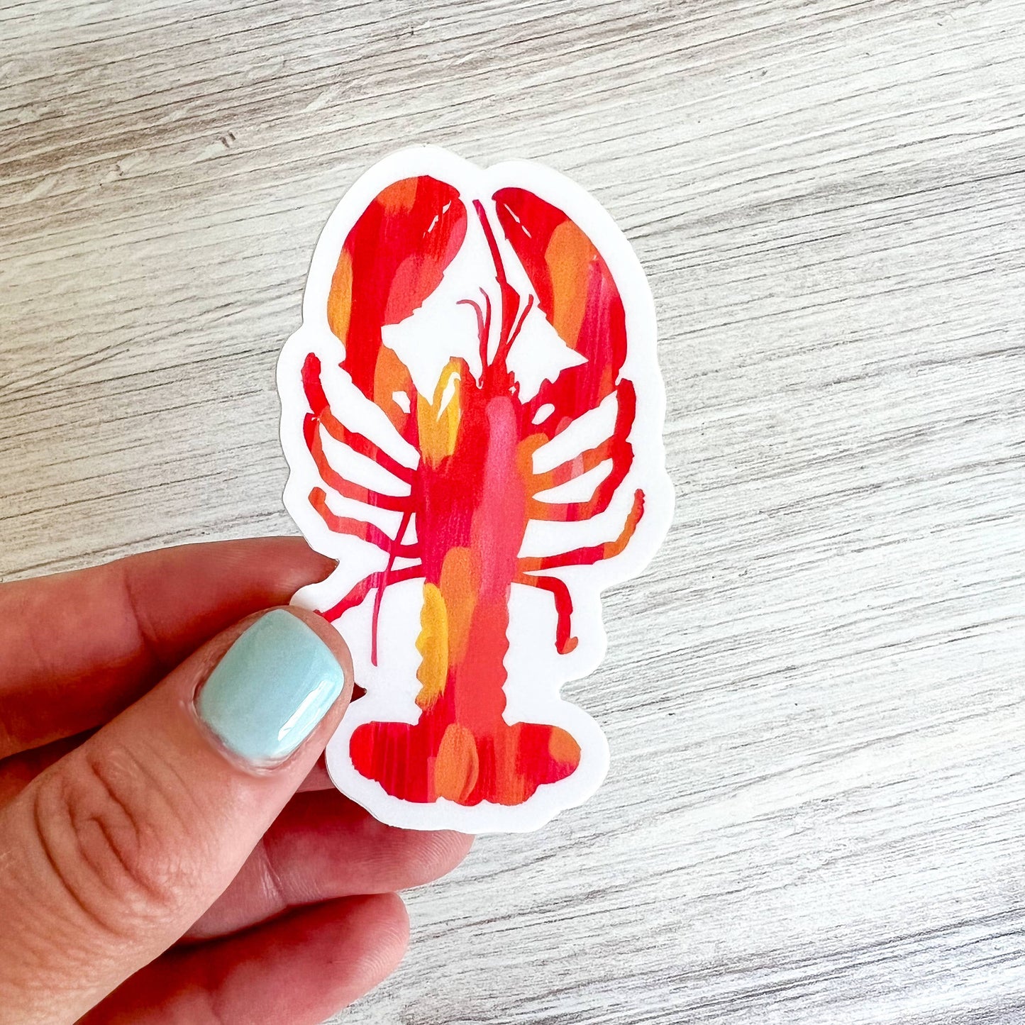 Red and Yellow Lobster Sticker, 1.75" x 3" | Maine Sticker