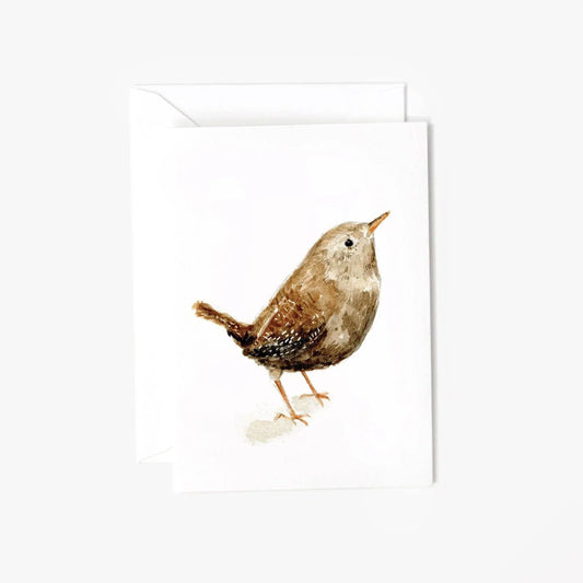 Wren bird mini enclosure notecard