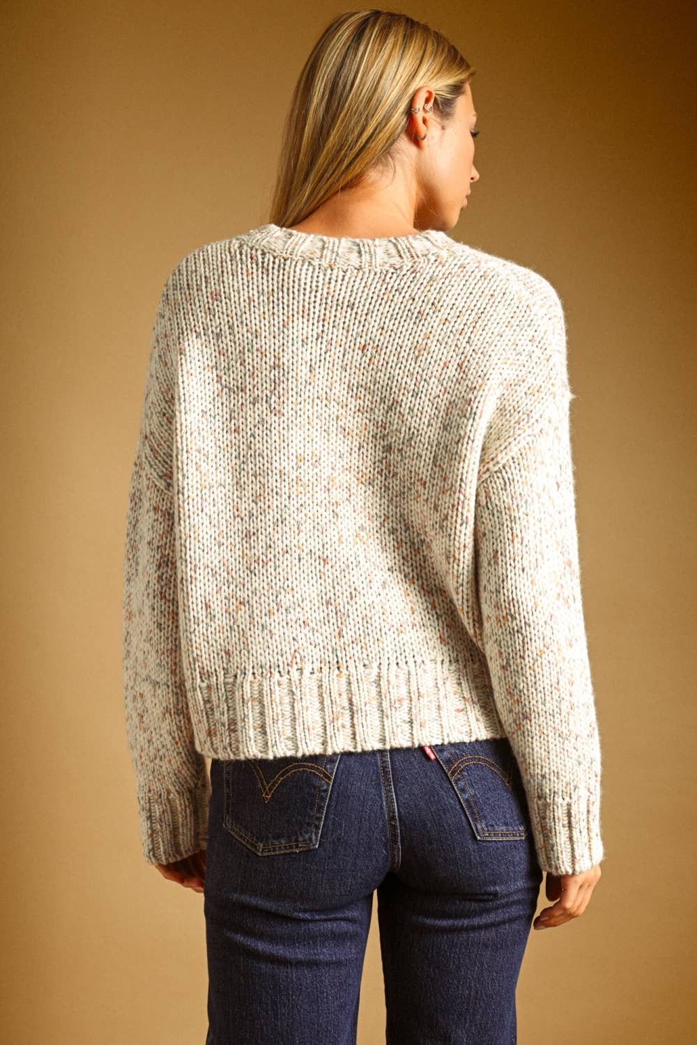 Multi-Color Fleck Sweater