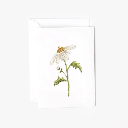 Daisy mini enclosure notecard