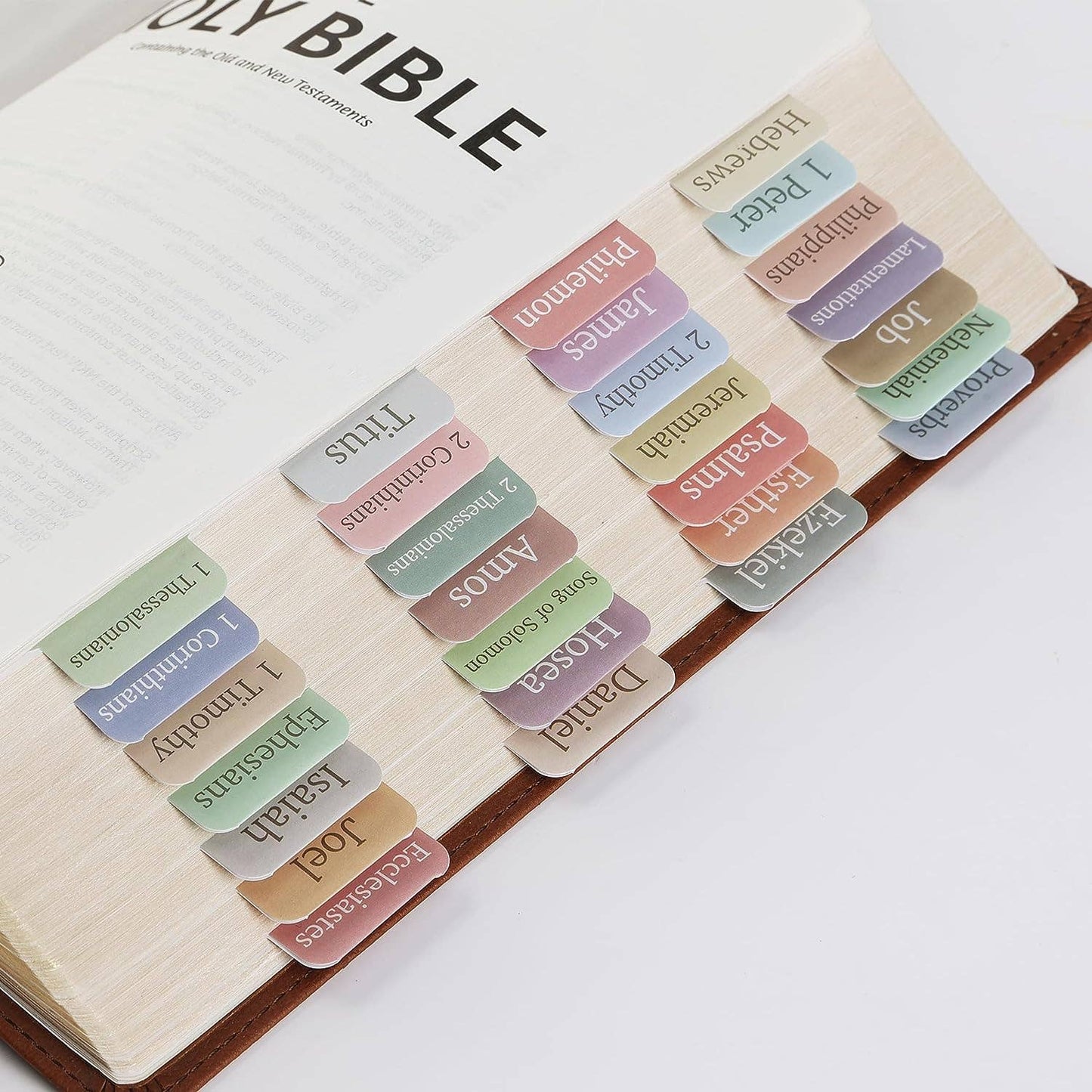 Minimal Morandi Bible Tabs - 75 Laminated Index Tabs