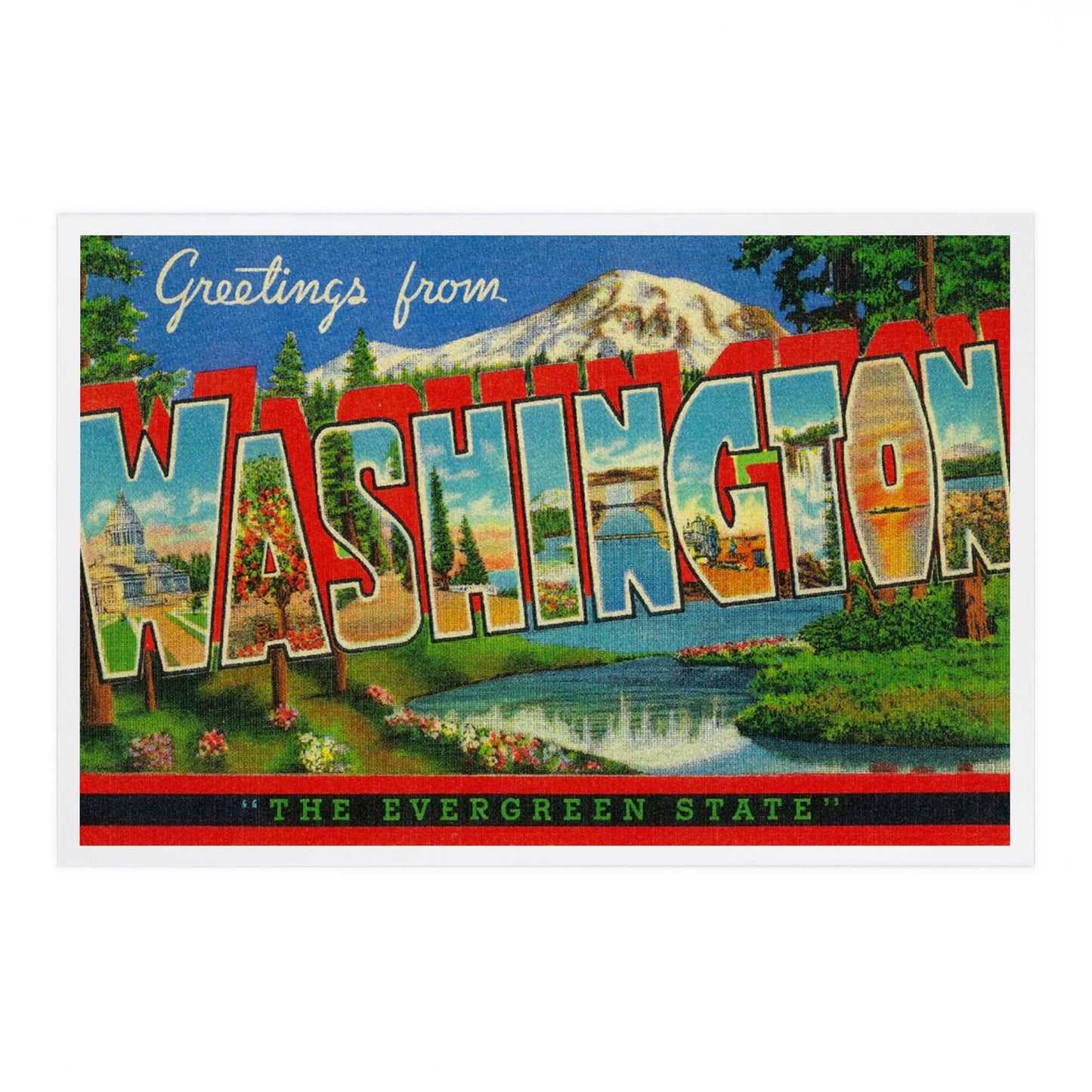 Premium Postcard