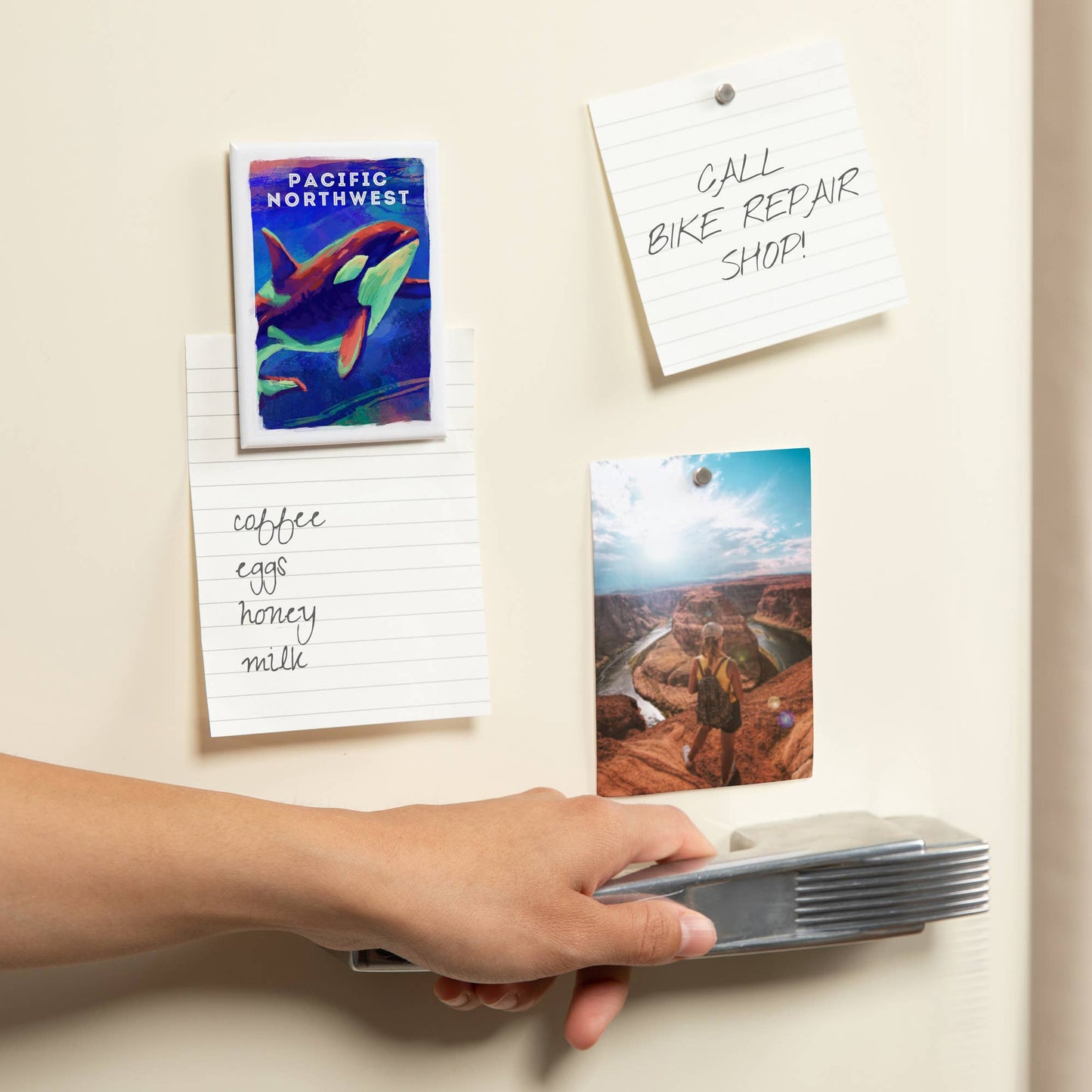 MAGNET Pacific Northwest, Orca, Vivid Series: Magnet