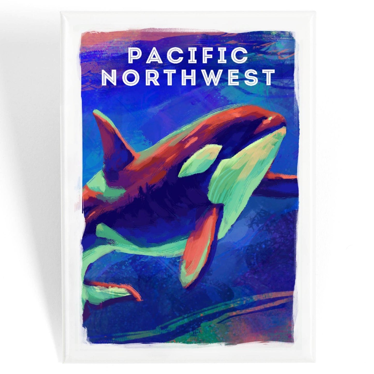 MAGNET Pacific Northwest, Orca, Vivid Series: Magnet
