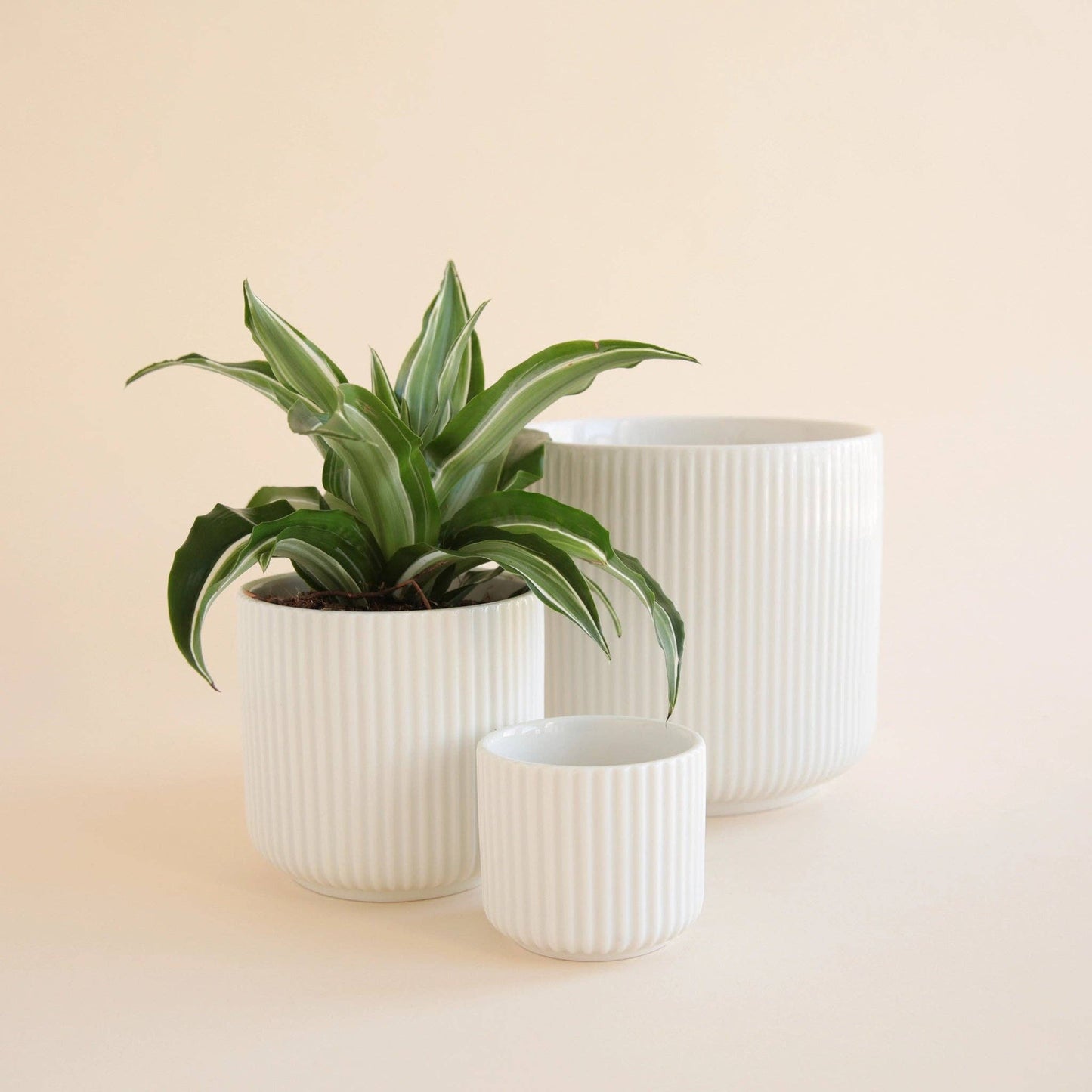 Lucy Pot | White: 3 inch