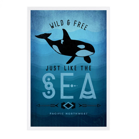 Wild and free Orca PREMIUM POSTCARDS Pacific Northwest,