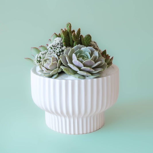Presley Pedestal Planter | White: 5.5 inch