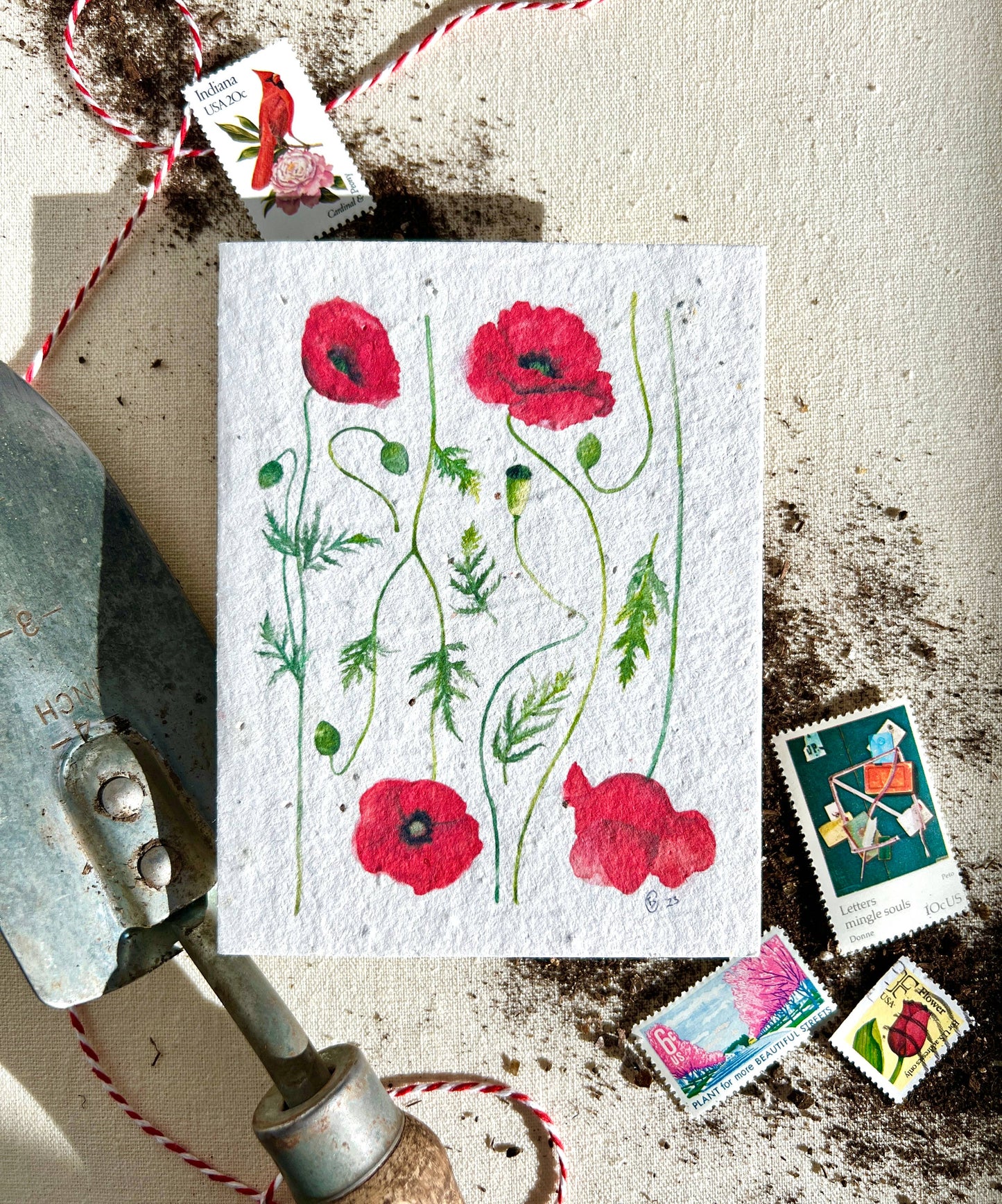 Poppy Fields Wildflower Mix Plantable Seed Card: Compostable Cello Sleeves, White