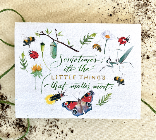 The Little Things Plantable Wildflower Seed Card: Compostable Cello Sleeves, White