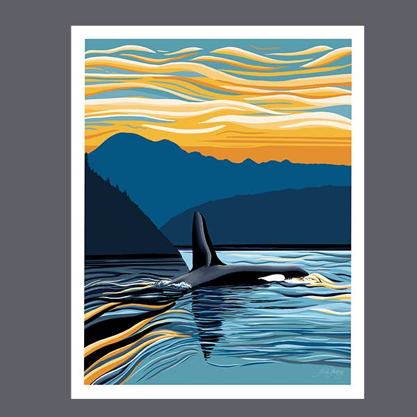 Orca - Evening Swim - Puget Sound Art Print  8x10