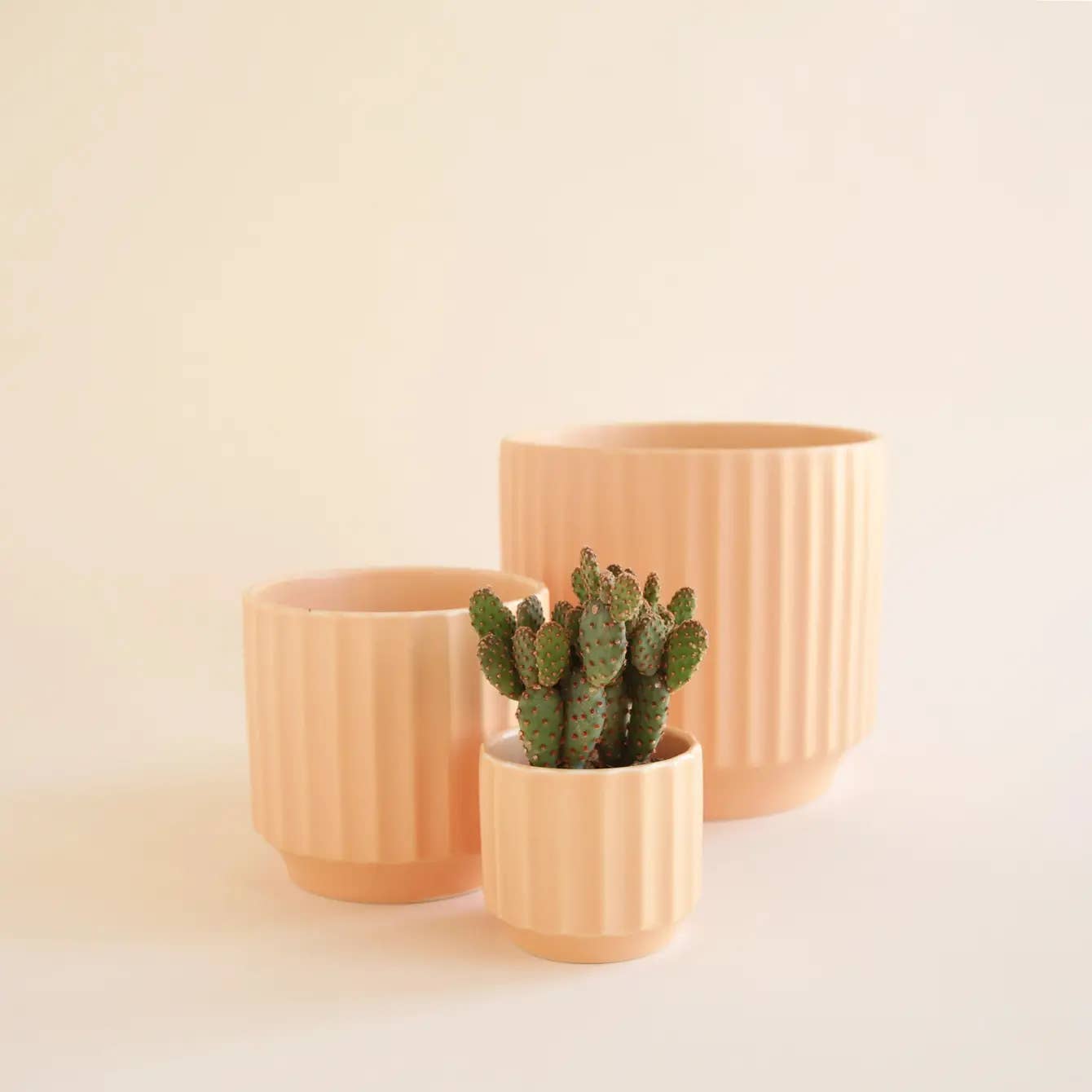 Monroe Pot | Sunset 3": 3 inch