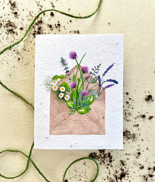 Pocketful of Sunshine Herb Mix Plantable Seed Cards: Compostable Cello Sleeves, White
