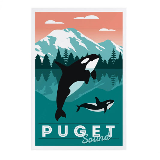 PREMIUM POSTCARDS Puget Sound, Orca Whale & Calf