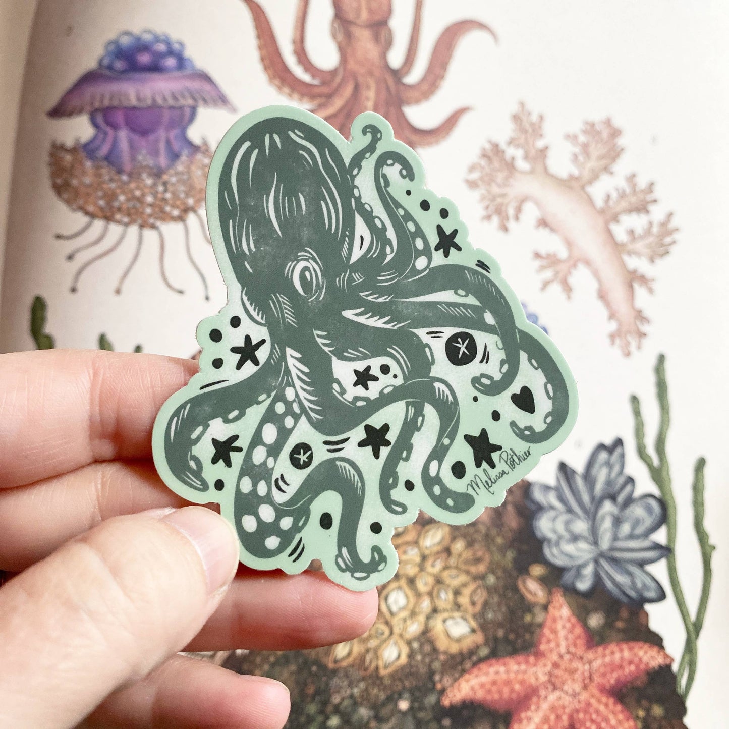 Octopus Sticker, Sea Creature, Beach Shop, Coastal, Seaside