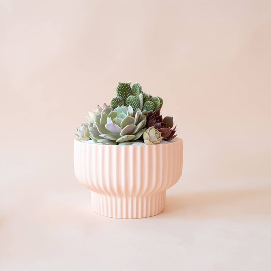Presley Pedestal Pot | Ballerina: 4.5 inch