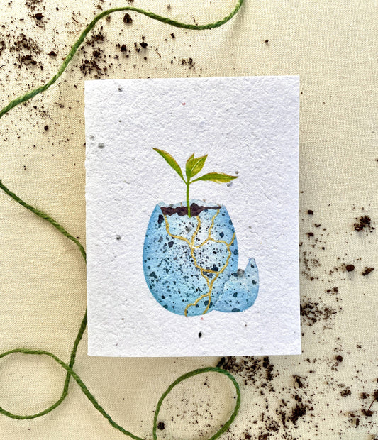 Beauty from Ashes Plantable Wellness Mix Seed Card: Compostable Cello Sleeves, White