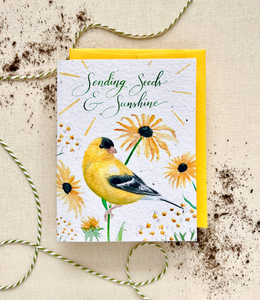 Seeds & Sunshine Plantable NATIVE Wildflower Seed Card