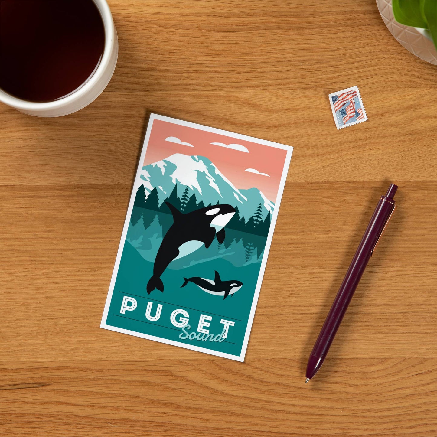 Puget Sound, Orca Whale & Calf Postcard