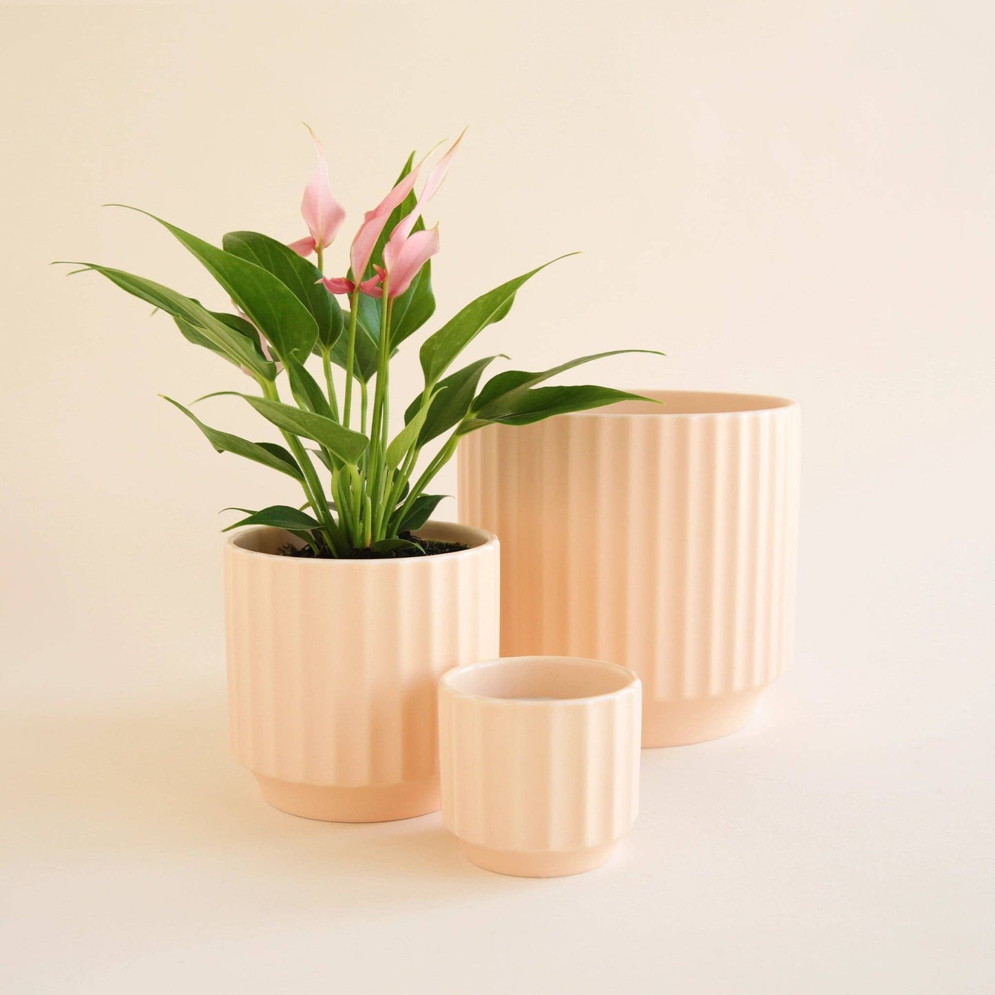 Monroe Planter | Vanilla: 6.75 inch
