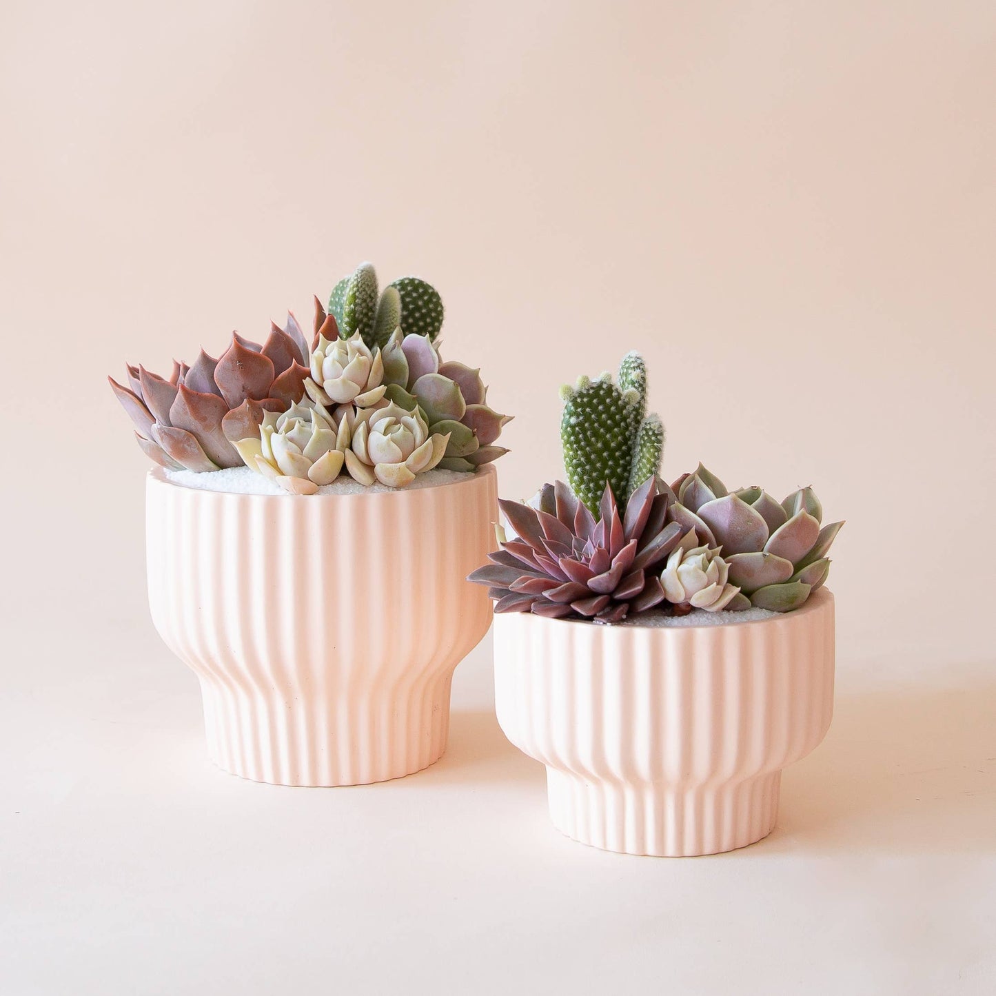 Presley Pedestal Pot | Ballerina: 4.5 inch