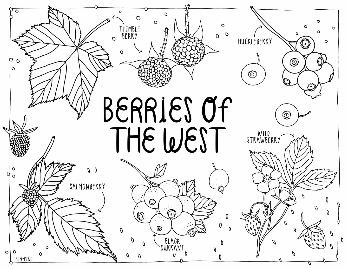 West Coast Wonderful Coloring Book