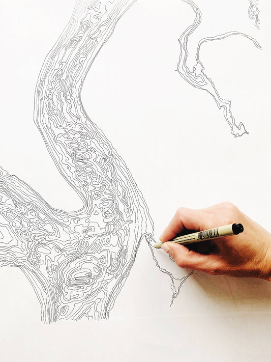 Tacoma Narrows Map Print