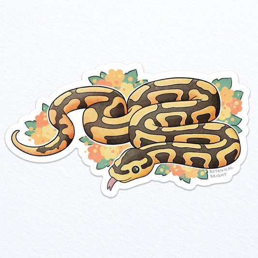 Snake Ball Python Waterproof Vinyl Sticker