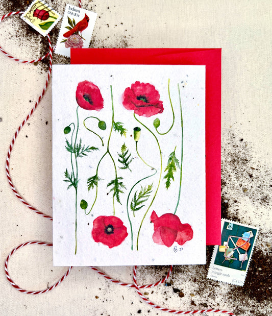 Poppy Fields Wildflower Mix Plantable Seed Card: Compostable Cello Sleeves, White