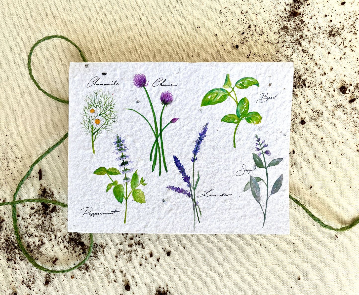 Herb Garden Plantable Seed Card: Compostable Cello Sleeves, White