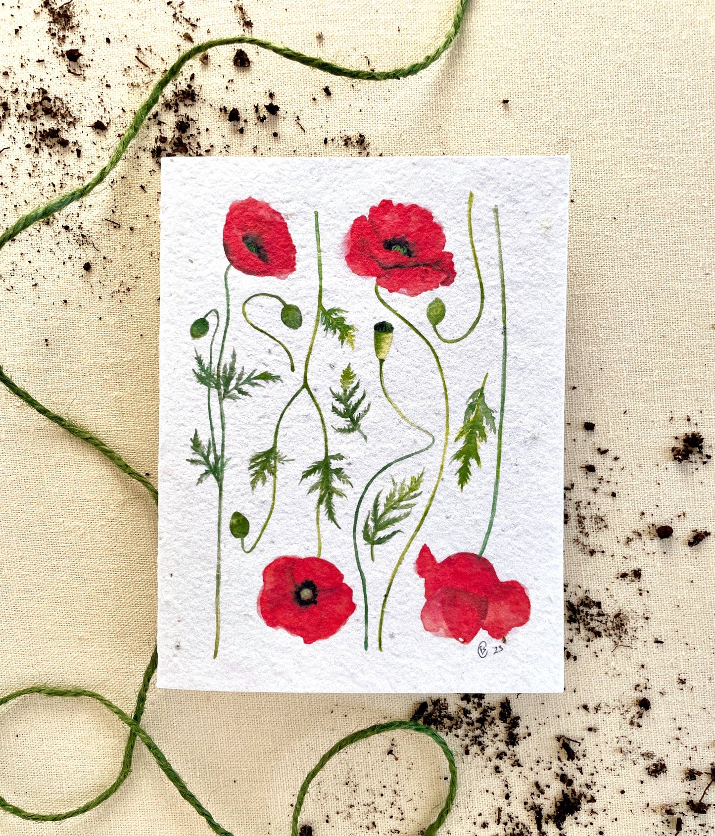 Poppy Fields Wildflower Mix Plantable Seed Card: Compostable Cello Sleeves, White