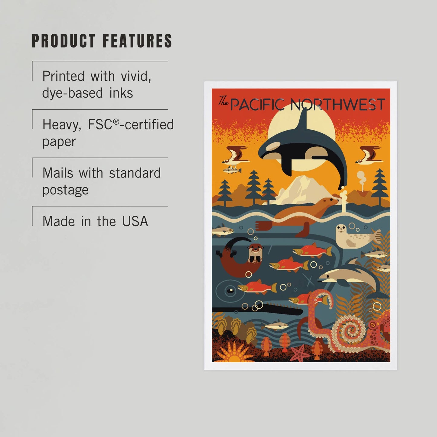 PNW Marine Animals Geometric Postcard
