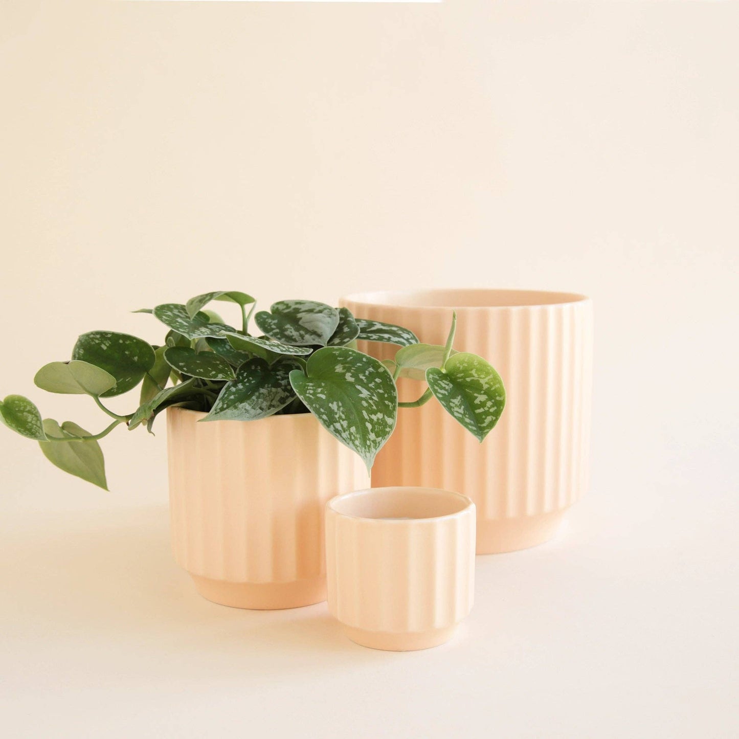 Monroe Planter | Vanilla: 6.75 inch