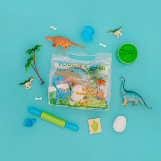 Sensory Dough Bag